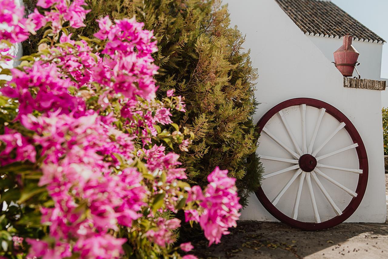 Cortijo Santa Clara Villa การ์โมนา ภายนอก รูปภาพ
