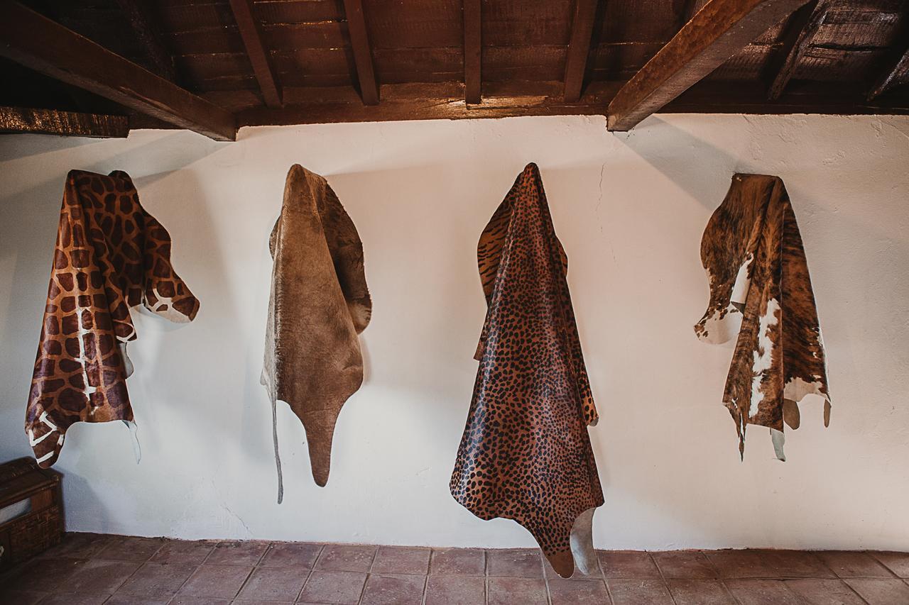 Cortijo Santa Clara Villa การ์โมนา ภายนอก รูปภาพ